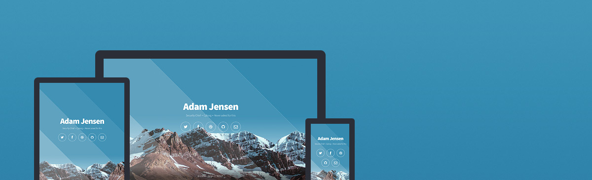 Aerial website template preview