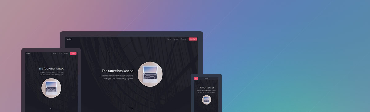 Landed website template preview