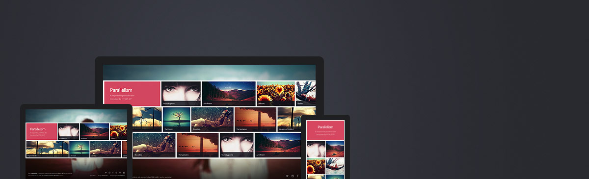 Parallelism website template preview